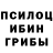 Псилоцибиновые грибы Psilocybe Dr M.H