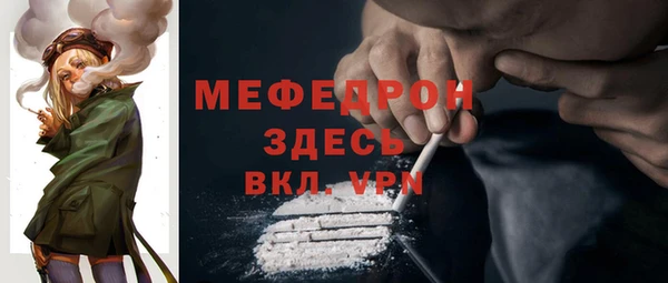 сатива Туринск