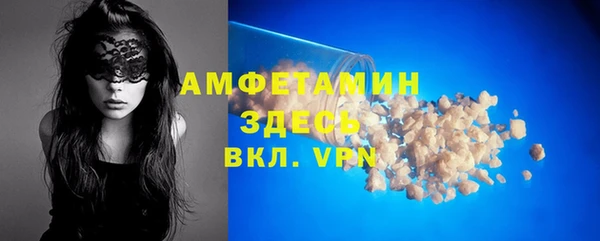 сатива Туринск